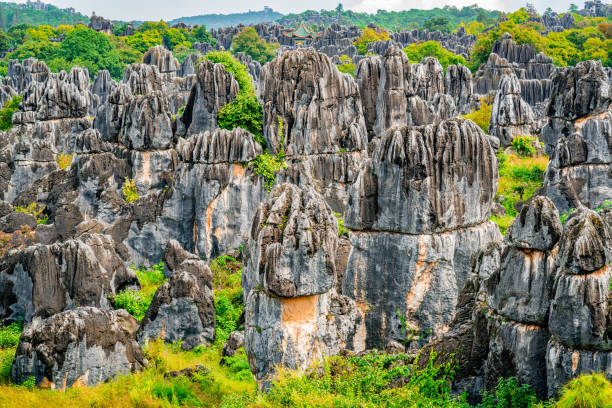 the stone forest  in Kunming.jpg