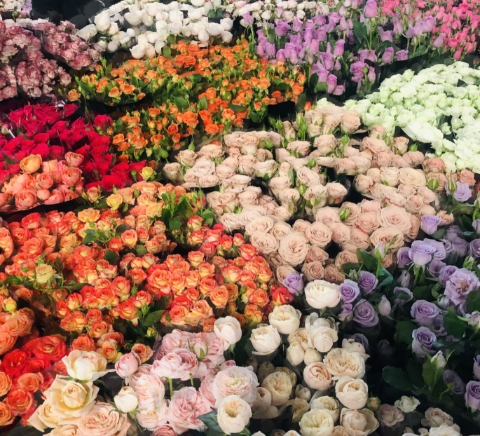 Dounan Flower Market In Kunming.png
