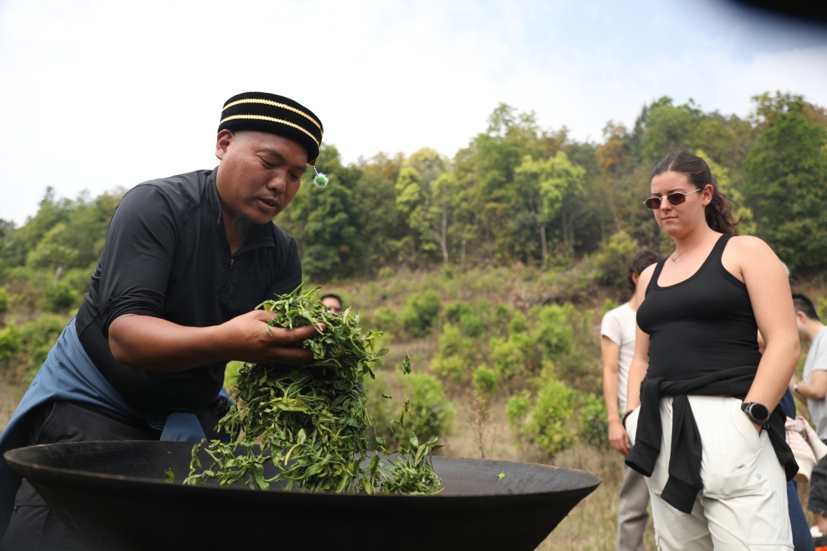 Yunnan Tea culture tour (2).jpg
