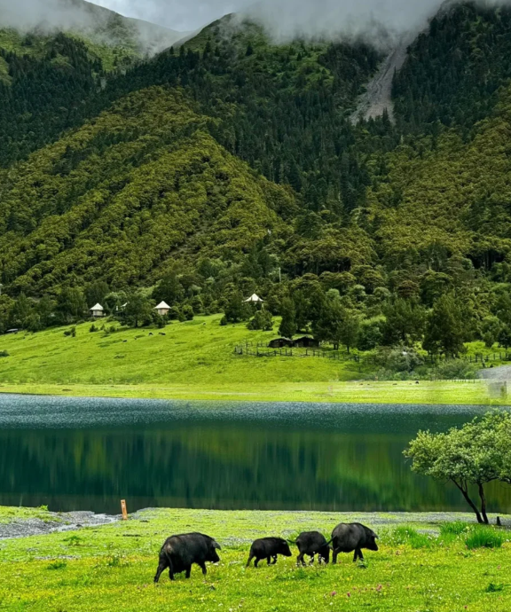 无底湖风景2.png