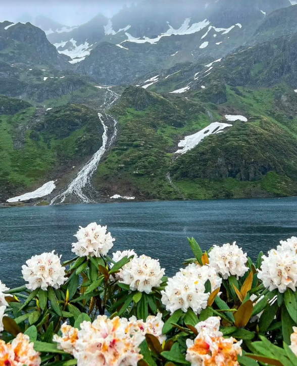 南极洛风景5.png