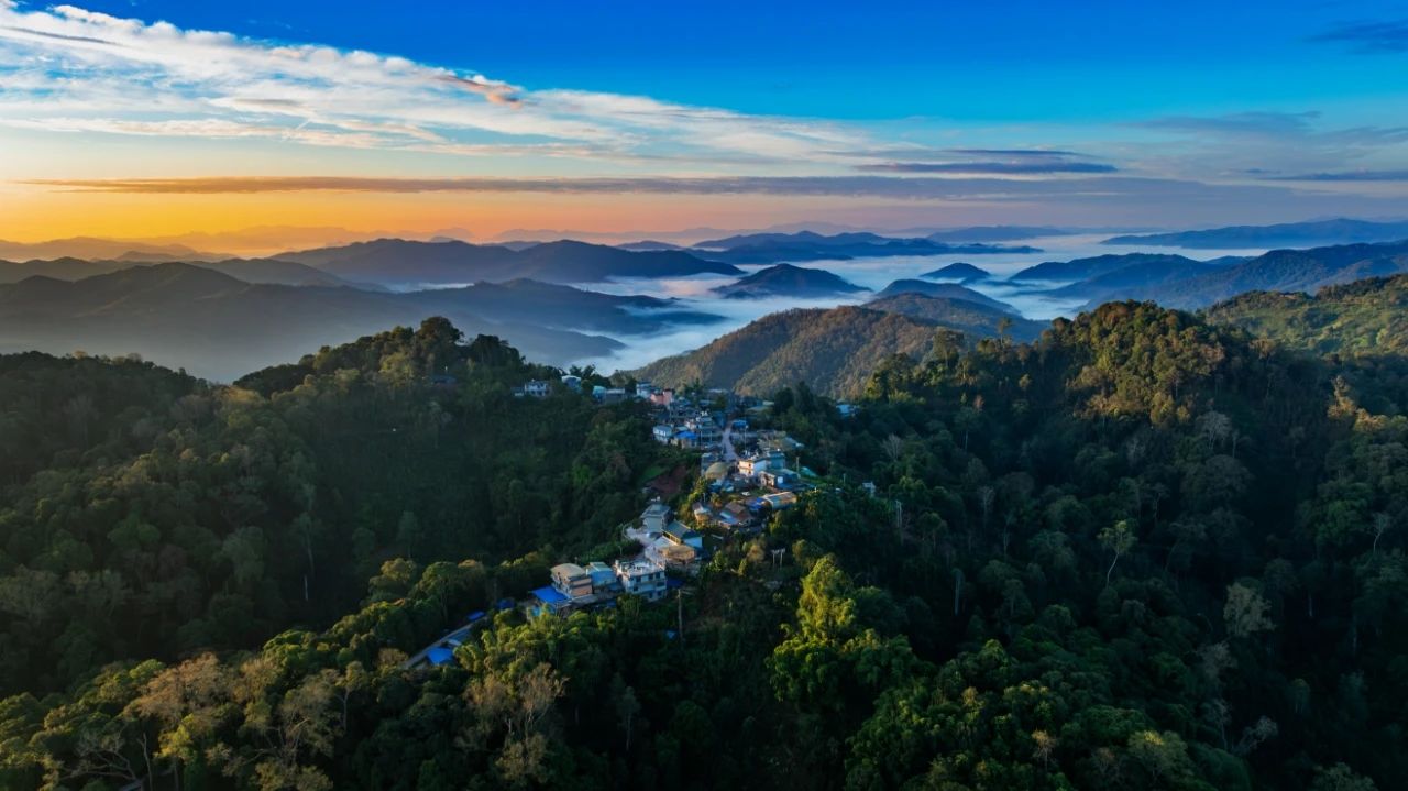 亞索旅業雲南茶山文化之旅攻略：探尋茶香古韻，體驗自然與人文的交融