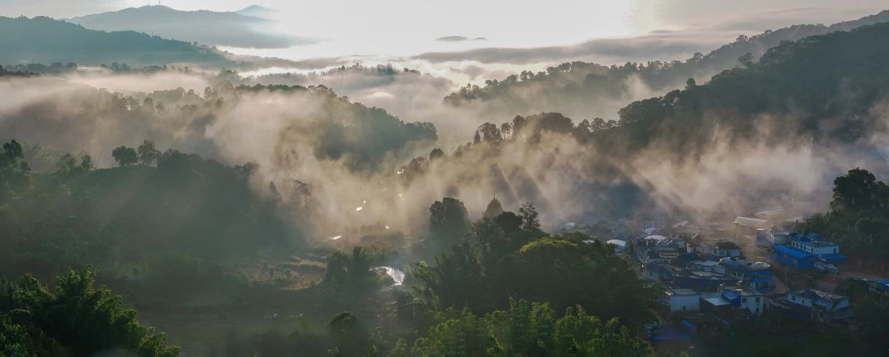 云南孟宋茶山.jpg
